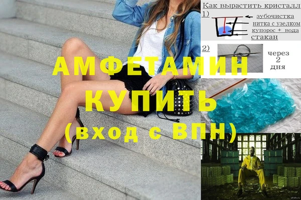 прущие грибы Богданович