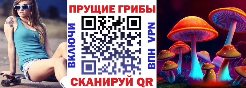 Псилоцибиновые грибы GOLDEN TEACHER  Шиханы 